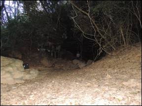 Blocos abatidos na entrada da Lapa do Ti&atilde;o