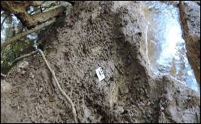 Marca dos pneus das motos