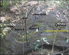 Dobramento em afloramento carbon&aacute;tico