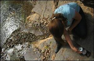 Processo de medi&ccedil;&atilde;o das fraturas na &ldquo;Trilha 1 &ndash; Cachoeira no Rio Vieira&rdquo;