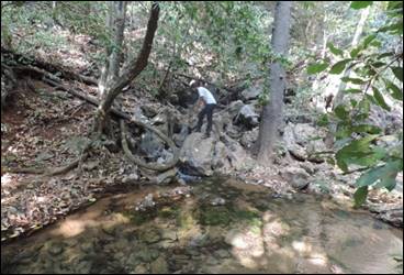 Nascente principal do Rio Vieira