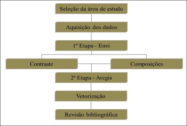 Procedimentos metodol&oacute;gicos