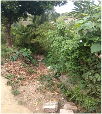 Eros&atilde;o regressiva na borda do tabuleiro em margem de arruamento (rua dos Mineiros, bairro de Aldeia dos Camar&aacute;s, Camaragibe&ndash;PE)