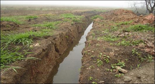 Drenagem em vereda no chapad&atilde;o de Catal&atilde;o (GO), paisagem ocupada pela agricultura mecanizada