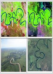 Delimita&ccedil;&atilde;o do paleocintur&atilde;o
de meandros no rio Miranda nos anos de 1984, 1998, 2004 e 2016