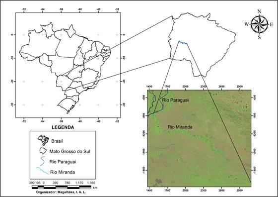 Mapa de localiza&ccedil;&atilde;o da &aacute;rea
de estudo no Rio Miranda no estado de Mato Grosso do Sul.