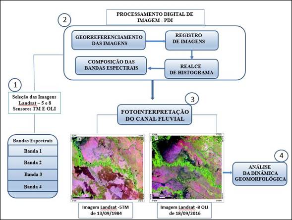 Fluxograma da pesquisa