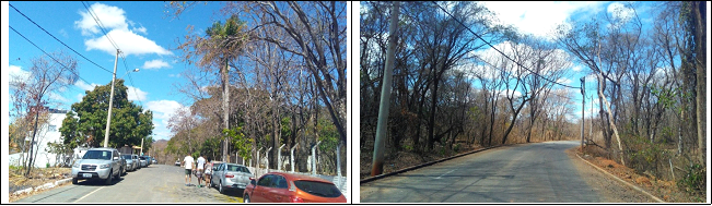 Parque Sapucaia e os Chacreamentos do Jardim Planalto (Parte V)