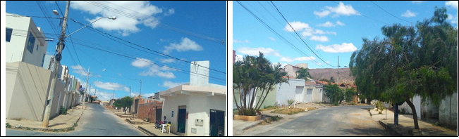 Ruas arborizadas e pequenos comércios no Jardim Liberdade (Parte VI)