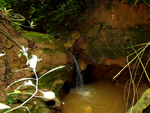 Regi&atilde;o pr&oacute;xima a nascente