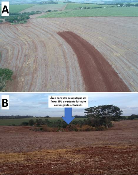 Vertente orientada para norte-nordeste, tendo formato planar-retil�nea. B - Vertente com formato convergente-c�ncava