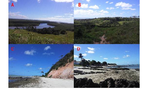 Unidades Geomorfol&oacute;gicas encontradas nos pontos de campo: Plan&iacute;cie fl&uacute;vio-marinha/aluvial (A); &Aacute;reas de tabuleiro/encostas (B) e Plan&iacute;cies Costeiras/Terra&ccedil;os holoc&ecirc;nicos (C e D).