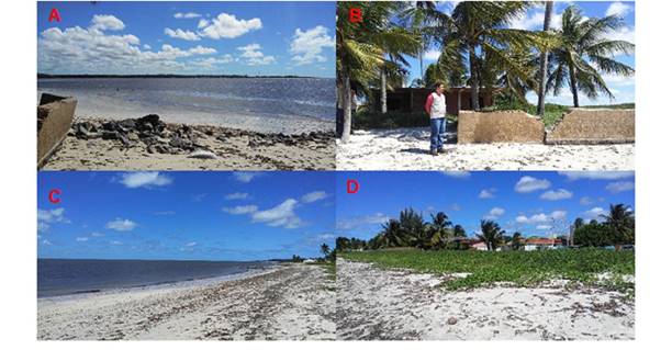 Aspectos naturais e carater&iacute;sticas de uso e ocupa&ccedil;&atilde;o antr&oacute;pica na praia de Carne de Vaca.