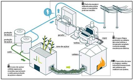 Produção de eletricidade a partir da biomassa da cana-de-açúcar e possibilidade de comercialização com o Sistema Elétrico Brasileiro – Eletrobrás
