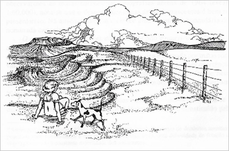 Ilustra&ccedil;&atilde;o dos areais