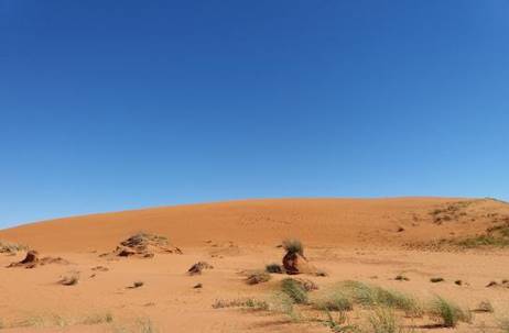 Os areais de Quara&iacute;, sudoeste do Rio Grande do Sul