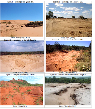 mosaico de fotografias indicando localidades com ocorr&ecirc;ncia de areniza&ccedil;&atilde;o.