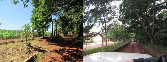 Principais interfer&ecirc;ncias antr&oacute;picas nas &aacute;reas de bora da Mata de Santa Genebra: uso agr&iacute;cola e urbano