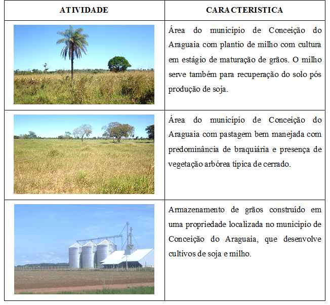 Agroneg&oacute;cio no munic&iacute;pio de Concei&ccedil;&atilde;o do Araguaia-PA