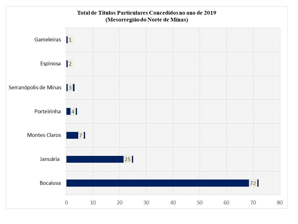 Total de t&iacute;tulos particulares concedidos no ano de 2019 (mesorregi&atilde;o Norte de Minas)