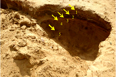 Deposi&ccedil;&atilde;o de sedimentos no leito do rio Paje&uacute;, no munic&iacute;pio de Floresta, Pernambuco