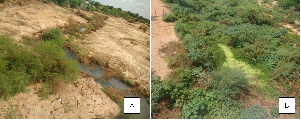 (A) Esgotamento entre a "Passagem Molhada" e a Rodovia BR-316 e (B) ap&oacute;s Rodovia BR-316, no munic&iacute;pio de Floresta, Pernambuco