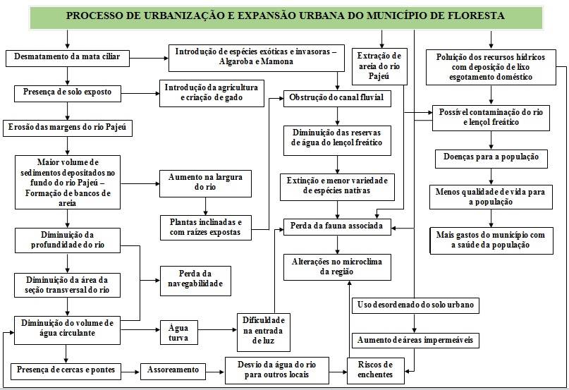 Rede de intera&ccedil;&atilde;o (Network) dos impactos ambientais atuais e poss&iacute;veis impactos futuros na &aacute;rea de estudo, Floresta, Pernambuco