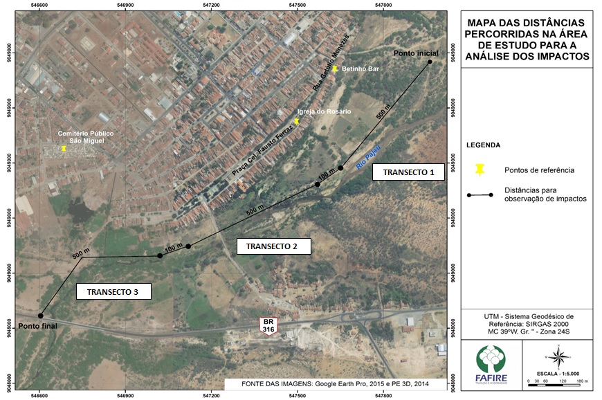 Amostragem por transecto linear na &aacute;rea de estudo para identifica&ccedil;&atilde;o e an&aacute;lise dos impactos ambientais