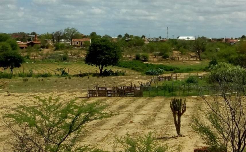 &Aacute;reas destinadas &agrave; agricultura e para o pasto em &aacute;rea de mata ciliar do rio Paje&uacute;, Floresta, Pernambuco