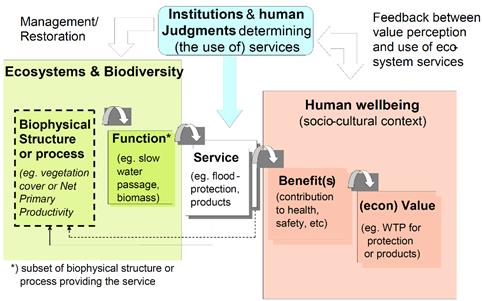 Diagrama dos ecossistemas e biodiversidade