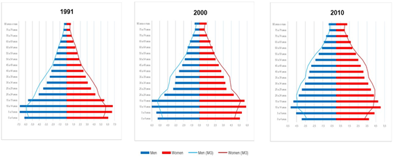 Percent distribution of the population by sex, according to age groups, for RGIm Te�filo Otoni and Minas Gerais (1991, 2000, and 2010)