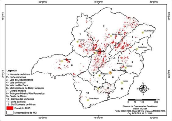 Distribui��o espacial da monocultura de eucalipto em Minas Gerais, por mesorregi�o (ano 2015)