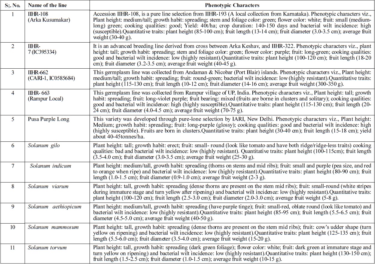Phenotypic traits of elite germplasm line