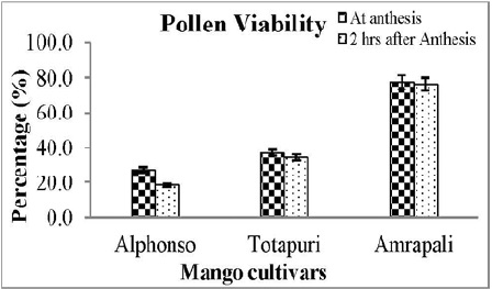 Pollen
viability (% viable pollens) in cvs. Alphonso,
Totapuri and Amrapali at anthesis and 2 hrs after anthesis