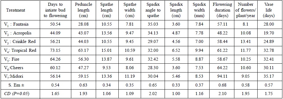 Flower, quality and yield parameters as influenced by Anthurium cultivars
(pooled data 3yrs) 

 