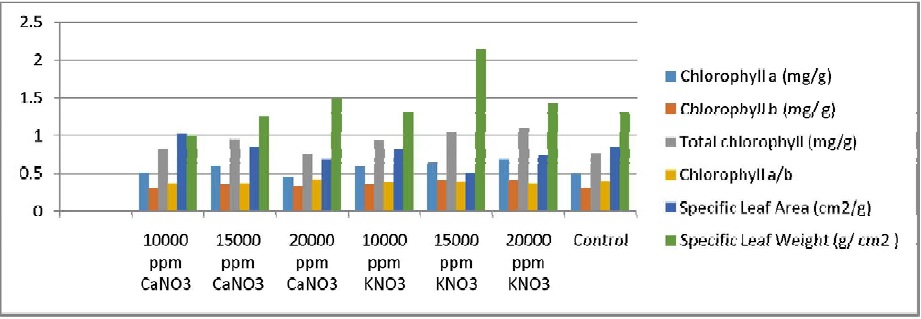 Effect of calcium nitrate and potassium nitrate on physiological parameters of local (gauty) papaya variety