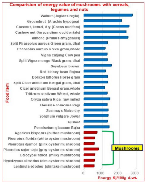 Comparison of energy value of mushrooms, cereals, legumes and nuts on dry weight basis