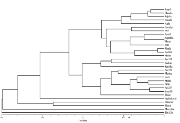 UPGMA dendrogram based on RAPD and SSR markers using Jaccard&rsquo;s similarity coefficient