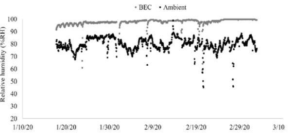 Temperature and relative humidity in ambient and brick-walled evaporative cooler (BEC) conditions during January 2020 to March 2020.