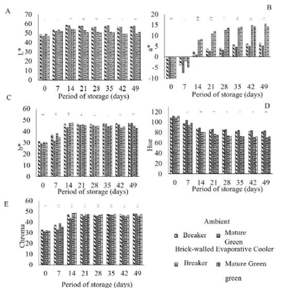 Color changes, L*, a*, b*, hue and chroma, of mature green and breaker &lsquo;Diamante Max&rsquo; tomatoes stored at ambient or in brick-walled evaporative conditions. Bars refer to LSD values at P < 0.05.