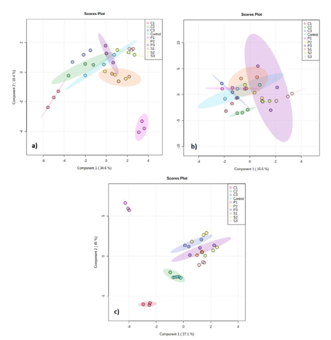 2D score plot of PLS-DA analysis of elicitor treated turmeric rhizomes a) Pragati b) Rajapuri c) Acc.849