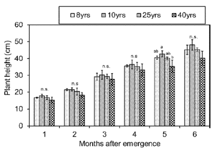 Plant height of rambutan seedlings at months after emergence form trees of different ages. Each value is the mean of three replicates and the vertical bars indicates standard error. One-way: *p<0.05, n.s.=not significant. When a significant difference was detected, Tukey’s HSD test was performed to identify significant differences among the 4 treatments. Different letters above the bar indicate significant difference.
