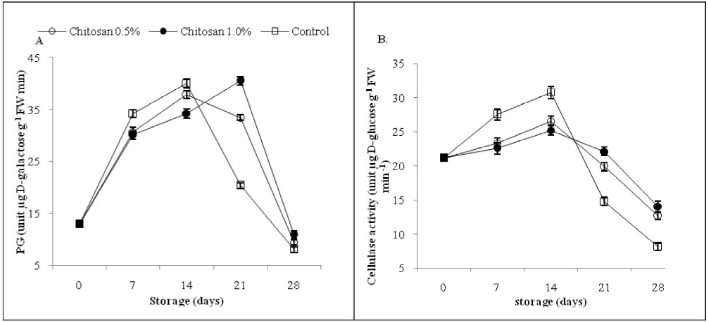 Variation in (A) PG, and (B) Cellulase enzyme activities in mango cv. Dashehari in relation to chitosan coatings. Vertical bars represent  Standard error of mean of 4 replicates