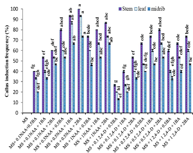 Callus initiation frequency from In vivo stem, leaf and midrib explants of A. paniculata on MS media fortified with various concentrations of BA, NAA and 2,4-D. Data consist of three replications and 5 explants were utilized in each replication. Bars reflect the standard deviation of means. Values with different letters are significantly different at P value = .05 (DMRT).
