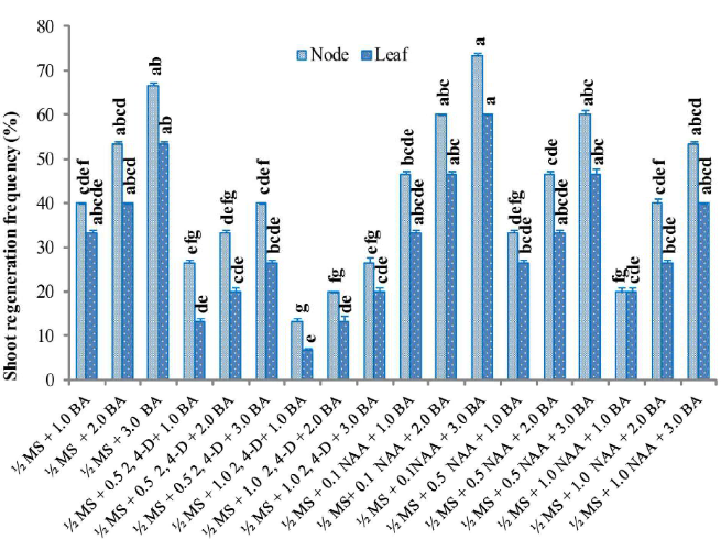 Shoot regeneration frequency at 6 weeks of culture of stem and leaf explant of A. paniculata on half strength MS media strengthen with various concentrations of BA, NAA and 2,4-D. Data consist of three replications and 5 explants were utilizedin each replication. Bars reflect the standard deviation of means. Values with different letters are significantly different at P value = .05 (DMRT).