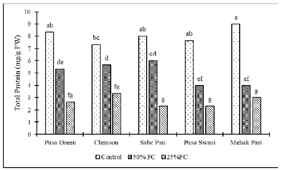 Effect of drought stress on total protein of okra cultivars