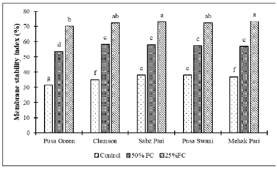 Effect of drought stress on Membrane Stability index of okra cultivars