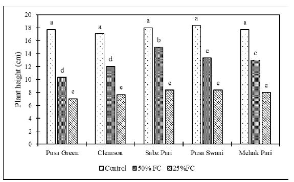 Effect of drought stress on plant height of okra cultivars