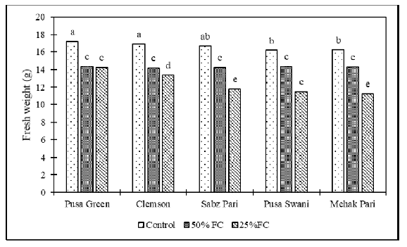 Effect of drought stress on fresh weight of okra cultivars