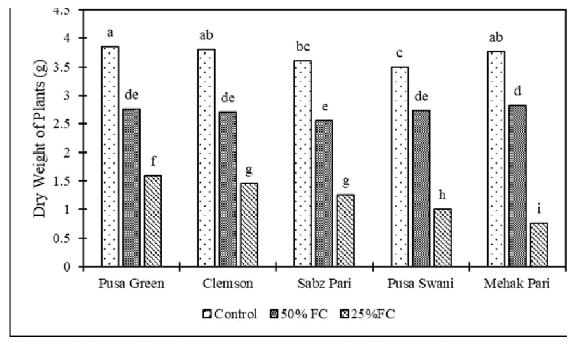 Effect of drought stress on Dry weight of okra cultivars